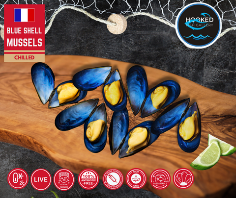 LIVE French Blue Shell Mussels 500g Bags(arrives Monday 9/9)