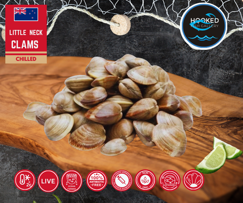 Live New Zealand Little Neck Clams