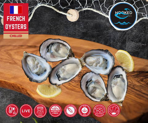 LIVE French Oysters - OUT OF SEASON