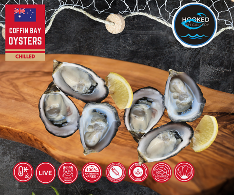 LIVE Australian Coffin Bay 6pcs. Oysters - OUT OF SEASON