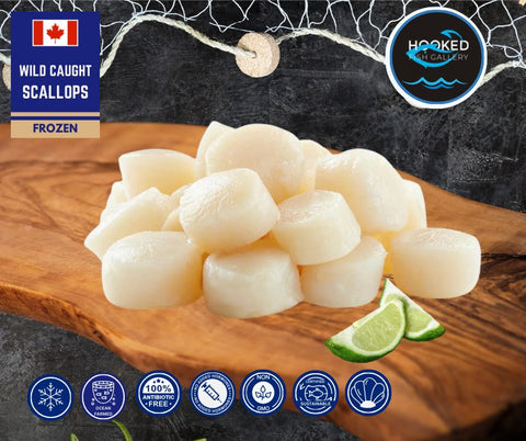 Frozen - Canadian Wild Caught Scallop 500g