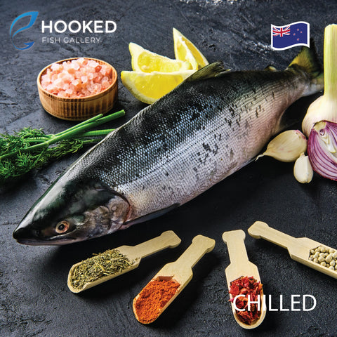 Chilled Whole NZ King Salmon Approx 5.0 to 5.2kg